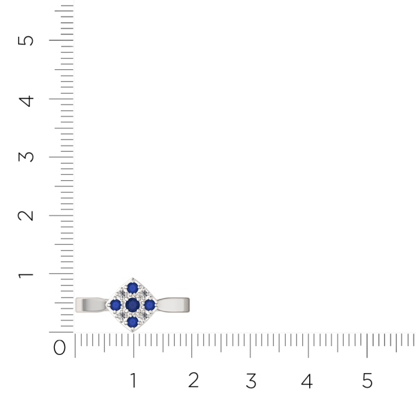 Кольцо 2D10116.14K.W.ZZ