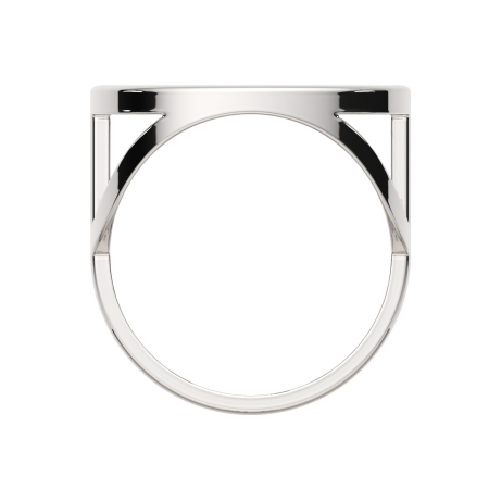 Кольцо 02101028.ZZ