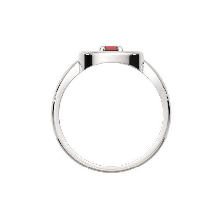 Кольцо 02101913.ZZ