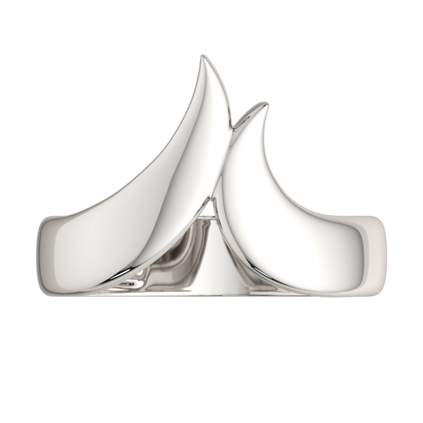 Кольцо 0200193.ZZ