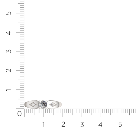 Кольцо 0210733.ZZ