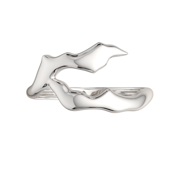 Кольцо 0200260.ZZ