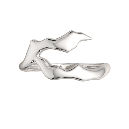 Кольцо 0200260.ZZ