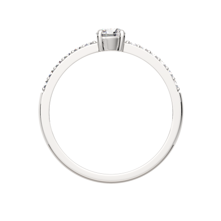 Кольцо 02101024.ZZ