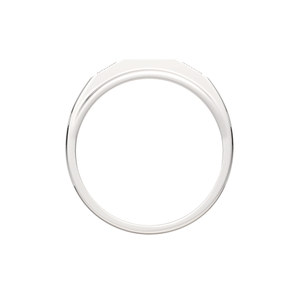 Кольцо 02101166.ZZ