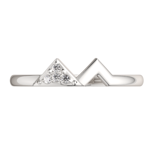 Кольцо 0210577.ZZ