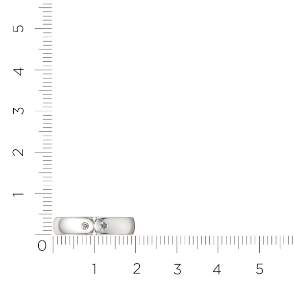 Кольцо 0210780.ZZ
