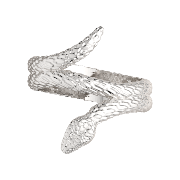 Кольцо 0200283.ZZ