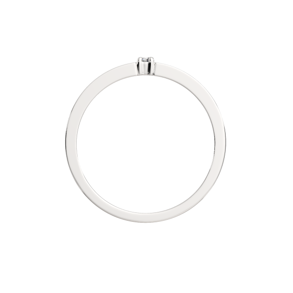 Кольцо 02101198.ZZ