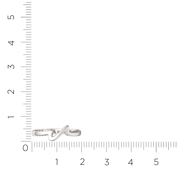 Кольцо 0200200.ZZ