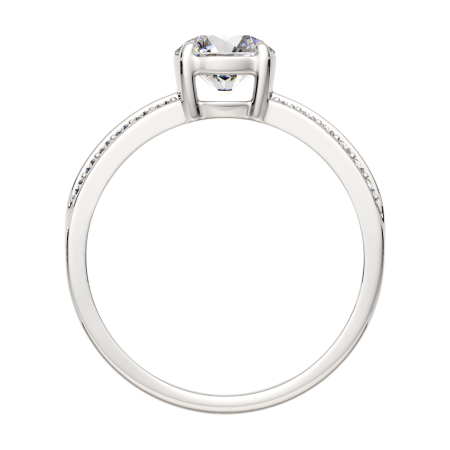 Кольцо 02101049.ZZ