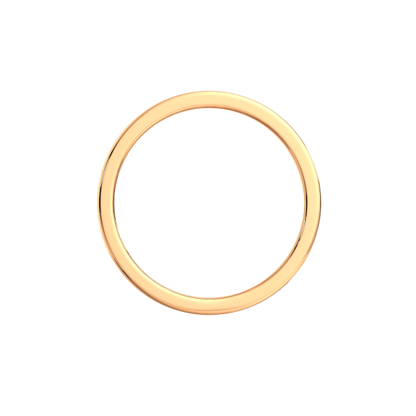 Кольцо 2101311.14K.R.ZZ