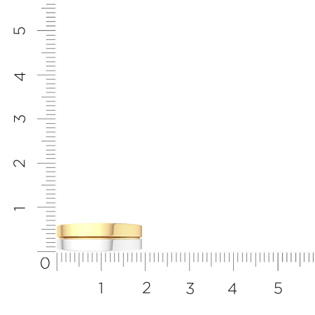 Кольцо обр. 1450138.14K.B.ZZ Кольцо обр. 1450138.14K.B.ZZ