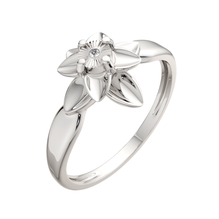 Кольцо 02D0077.ZZ