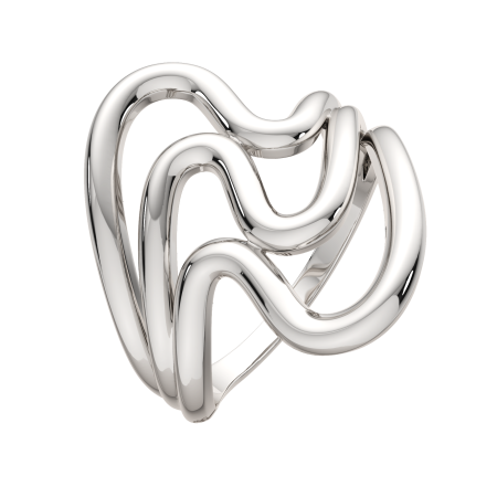 Кольцо 0200166.ZZ