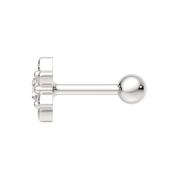 Пирсинг 0710013.ZZ