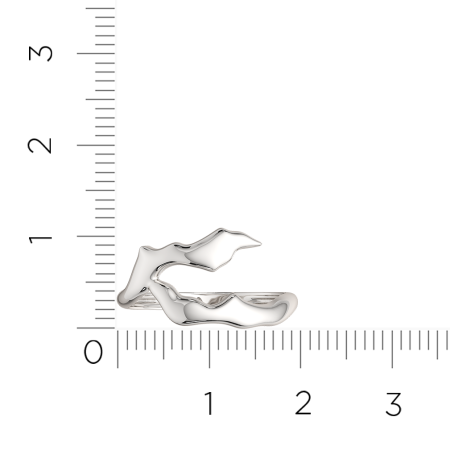 Кольцо 0200260.ZZ