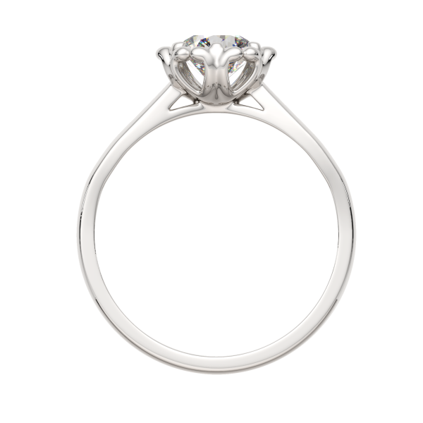 Кольцо 02101172.ZZ