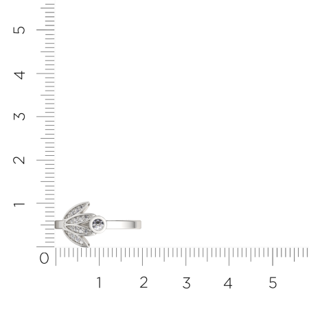 Кольцо 0210911.ZZ