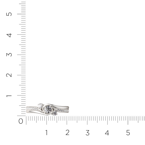 Кольцо 0210660.ZZ