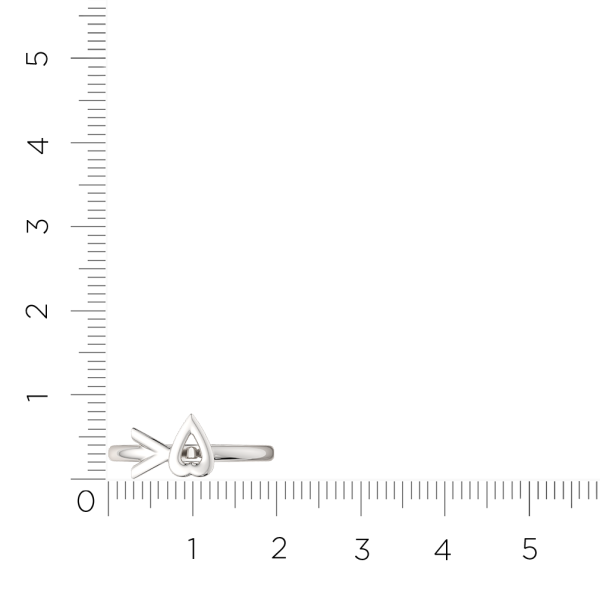 Кольцо 0200185.ZZ