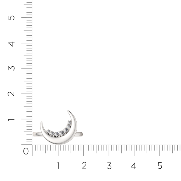 Кольцо 02101103.ZZ