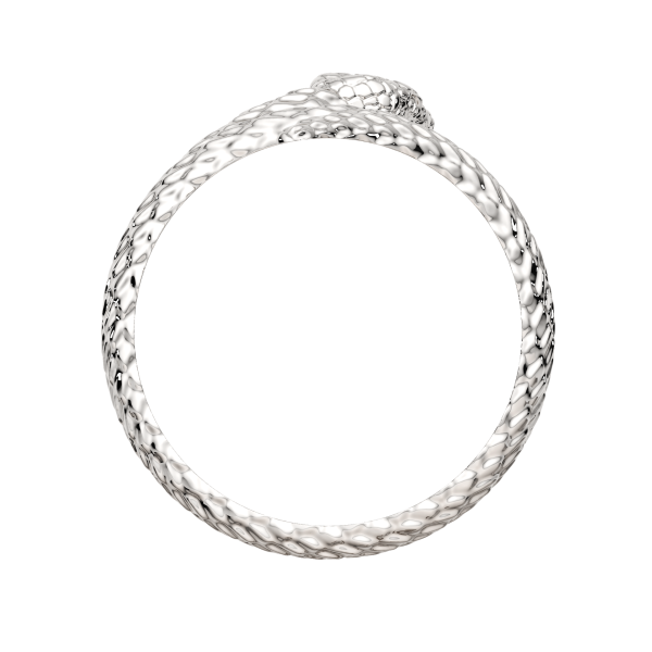 Кольцо 0200283.ZZ