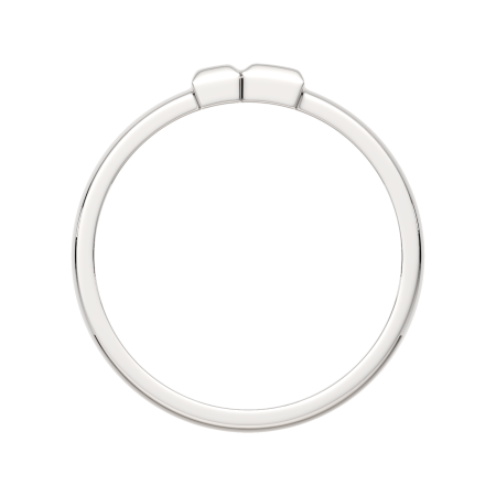 Кольцо 0200291.ZZ