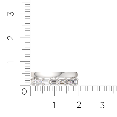 Кольцо 02101173.ZZ