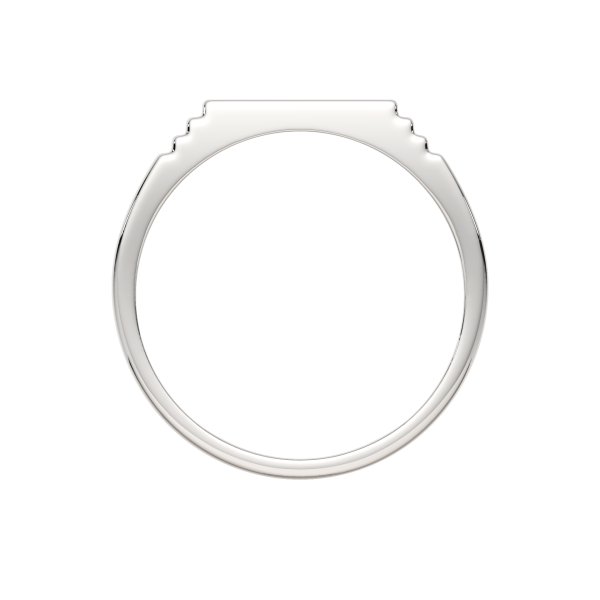 Кольцо 0200389.ZZ