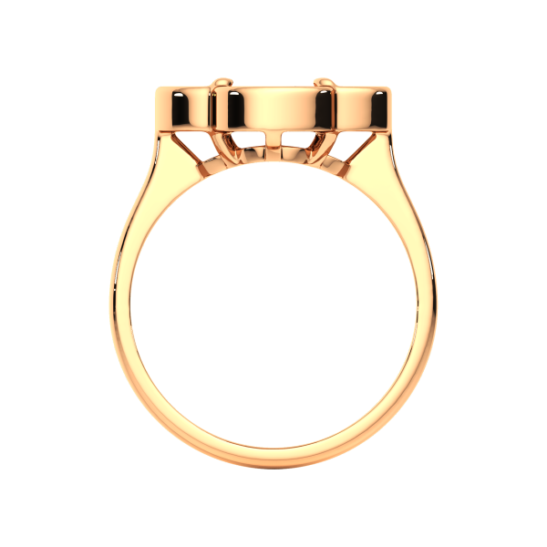 Кольцо 2G9133.14K.R.ZZ