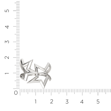 Кольцо 0200123.ZZ