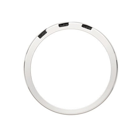 Кольцо 02101201.ZZ