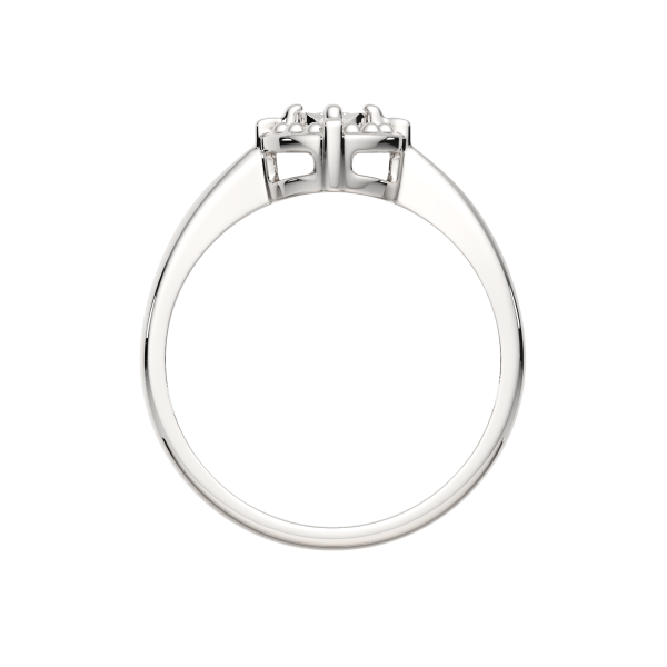 Кольцо 02D0150.ZZ