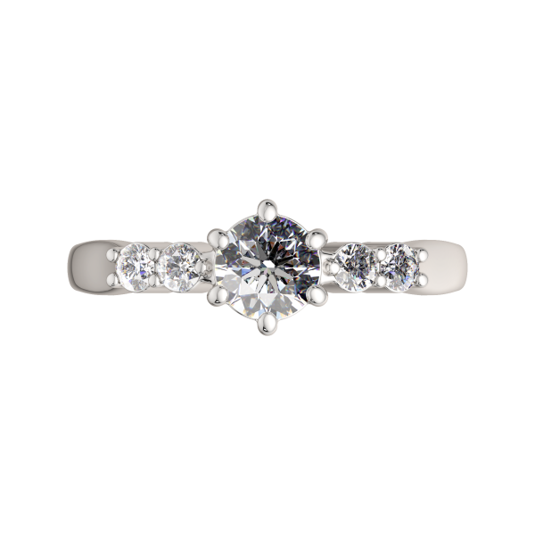 Кольцо 02101041.ZZ