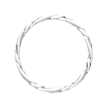 Кольцо 0200134.ZZ