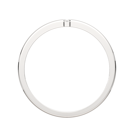 Кольцо 0210895.ZZ Кольцо 0210895.ZZ