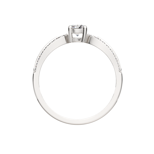 Кольцо 02101068.ZZ