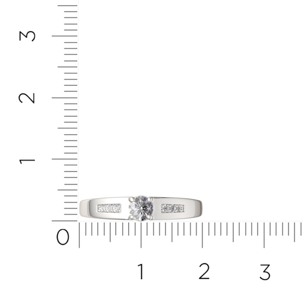 Кольцо 02101196.ZZ