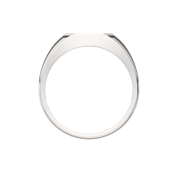 Кольцо 0200378.ZZ