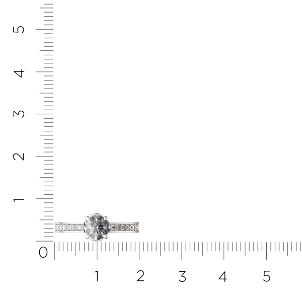 Кольцо 0210727.ZZ