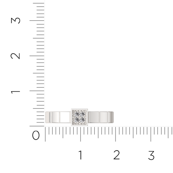 Кольцо 02101141.ZZ