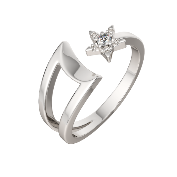 Кольцо 0210666.ZZ Кольцо 0210666.ZZ