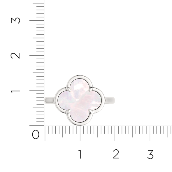 Кольцо 02G08171.ZZ