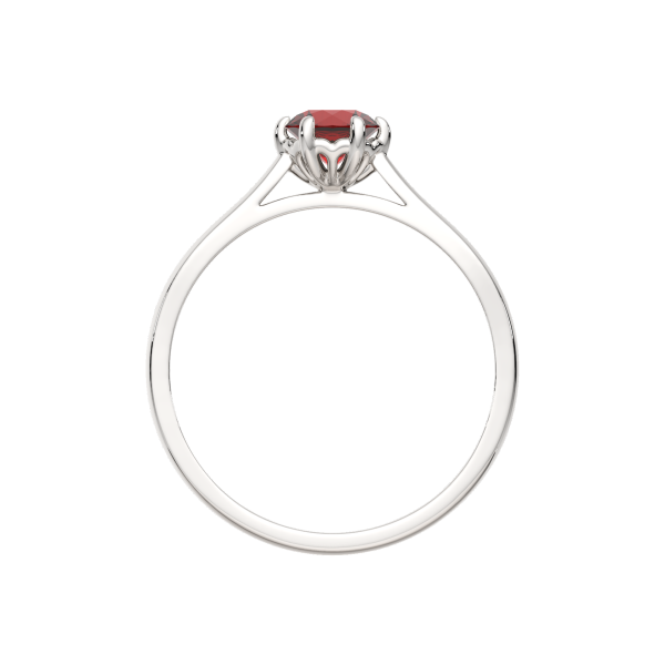 Кольцо 02S5036.ZZ Кольцо 02S5036.ZZ