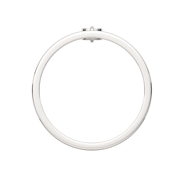 Кольцо 0210791.ZZ Кольцо 0210791.ZZ